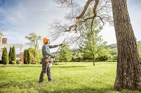 Best Lawn Watering Services  in Charter Oak, CA